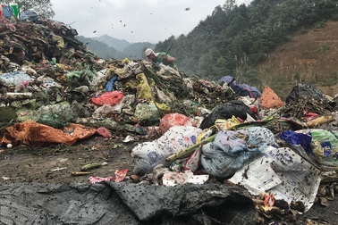 Cuộc sống hàng trăm người dân Bắc Kạn đảo lộn vì ruồi