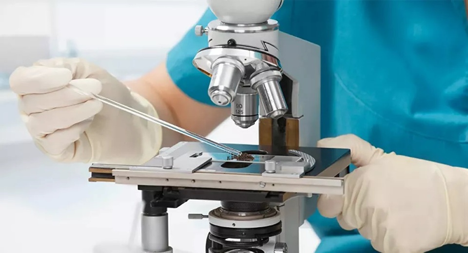 Thuốc ngừa Covid-19 được làm từ kháng thể... của ngựa - 1 Thuốc ngừa Covid-19 được làm từ kháng thể... của ngựa - 1