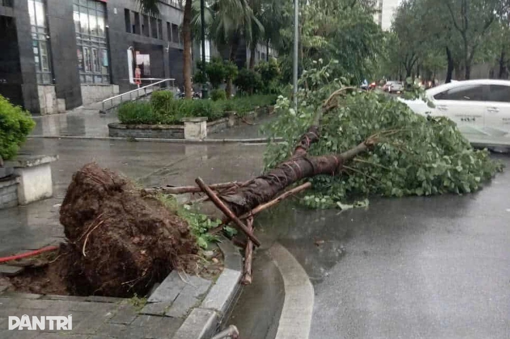 Nhiều cây xanh bật gốc, hàng rào tôn đổ đè ô tô trong cơn dông gió ở Hà Nội - 5