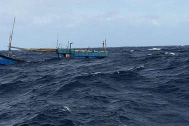 Tàu cá chạy vào bờ tránh bão bị sóng lớn đánh chìm