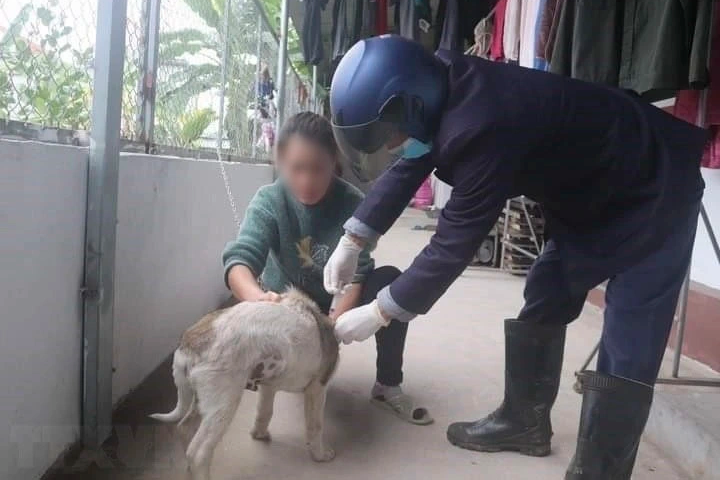 Chó dại chạy vào trường học tấn công 13 học sinh và một thầy giáo - 1 Chó dại chạy vào trường học tấn công 13 học sinh và một thầy giáo - 1