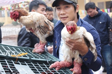 Cuộc thi “hoa hậu” xứ gà Đông Tảo