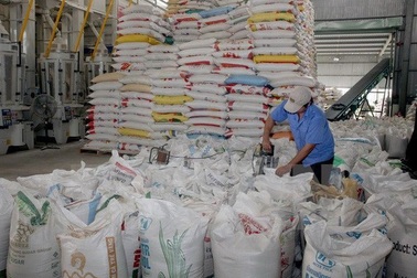 Chính phủ hỗ trợ Thanh Hóa, Yên Bái 900 tấn gạo cứu đói mùa giáp hạt