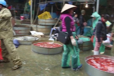 Chợ cá Yên Sở tấp nập mỗi dịp cận Tết ông Công ông Táo. (Video: Hồng Vân)