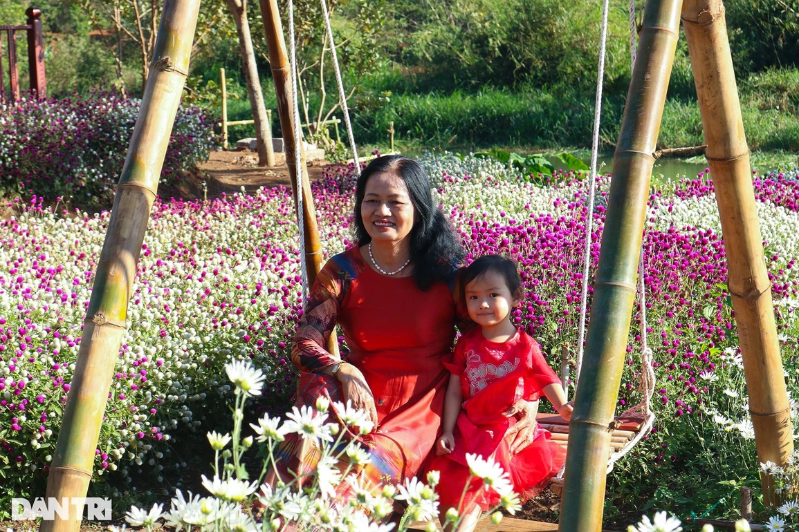 Đầu xuân, hoa tam giác mạch, cúc họa mi khoe sắc giữa lòng phố núi - 5 Đầu xuân, hoa tam giác mạch, cúc họa mi khoe sắc giữa lòng phố núi - 5
