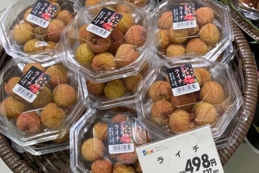 Chuyện lạ mùa vải thiều: Quả tươi nửa triệu đồng/kg, hạt cũng tiền triệu