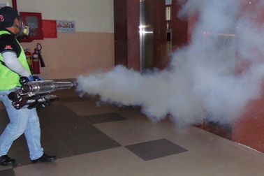 Tử vong vì sốt xuất huyết do không đi tái khám