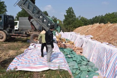 Quảng Bình: Tiêu hủy hơn 600 tấn hải sản có hàm lượng Cadimi vượt ngưỡng