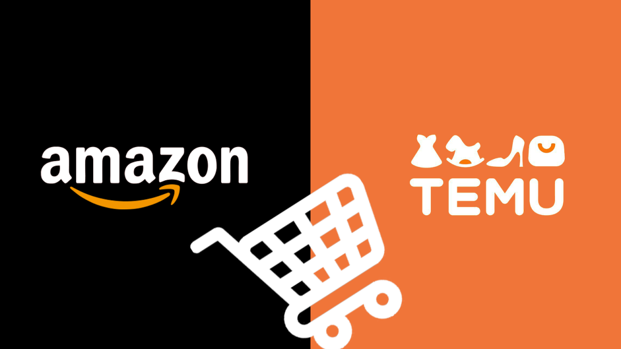 Amazon ra đòn, EU siết luật, Temu còn đường sống? - 1