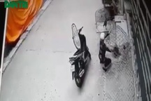 Nam thanh niên đi xe ga, bắt trộm gà bỏ cốp