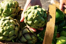 Atiso - “siêu rau” giúp gan khỏe, tốt cho tim, chống ung thư