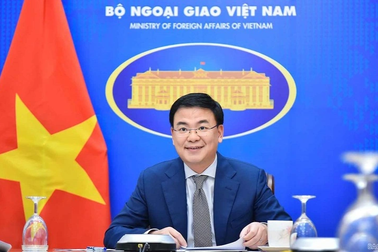 Thứ trưởng Ngoại giao Phạm Quang Hiệu chúc Tết người Việt ở nước ngoài