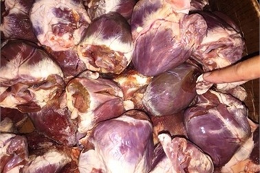 Ăn tim lợn mốc xanh, bồi bổ vi cá mập nhựa