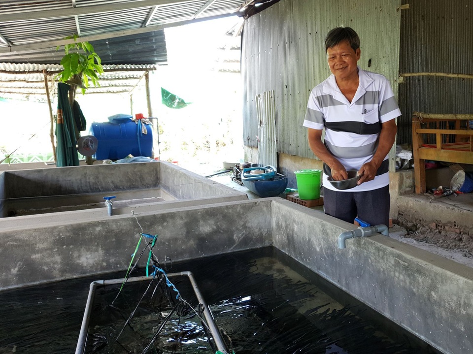 Nông dân Cần Thơ làm giàu từ nuôi lươn giống không bùn - 1 Nông dân Cần Thơ làm giàu từ nuôi lươn giống không bùn - 1