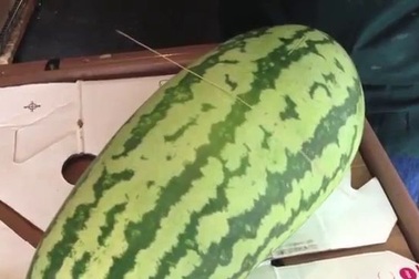 Mẹo hay chọn dưa hấu ngon giải nhiệt ngày hè