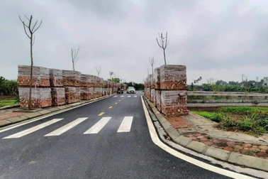 Bộ Tư pháp đề nghị hủy đấu giá 26 lô đất, Hà Nội muốn giữ nguyên