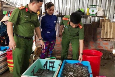 Bắt 2 cơ sở kinh doanh đang bơm tạp chất vào hàng trăm ký tôm nguyên liệu