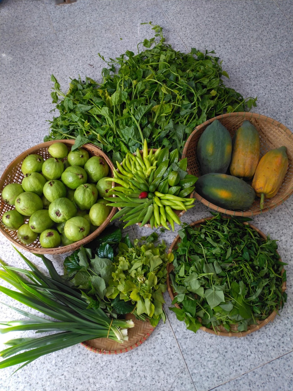 Khu vườn rau trái sum suê trên sân thượng, nhà phố tại TPHCM - 12 Khu vườn rau trái sum suê trên sân thượng, nhà phố tại TPHCM - 12