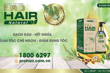Tại sao bạn nên sử dụng dầu gội thảo dược cho tóc xơ, hư tổn, chẻ ngọn, rụng tóc?