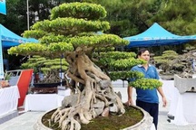 Sanh cổ Huyền phượng vũ giá triệu đô: "Chưa đến mức đó"