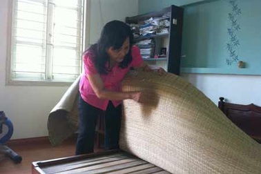 Cẩn thận mạt trong chăn gối có thể gây sốt vi-rút