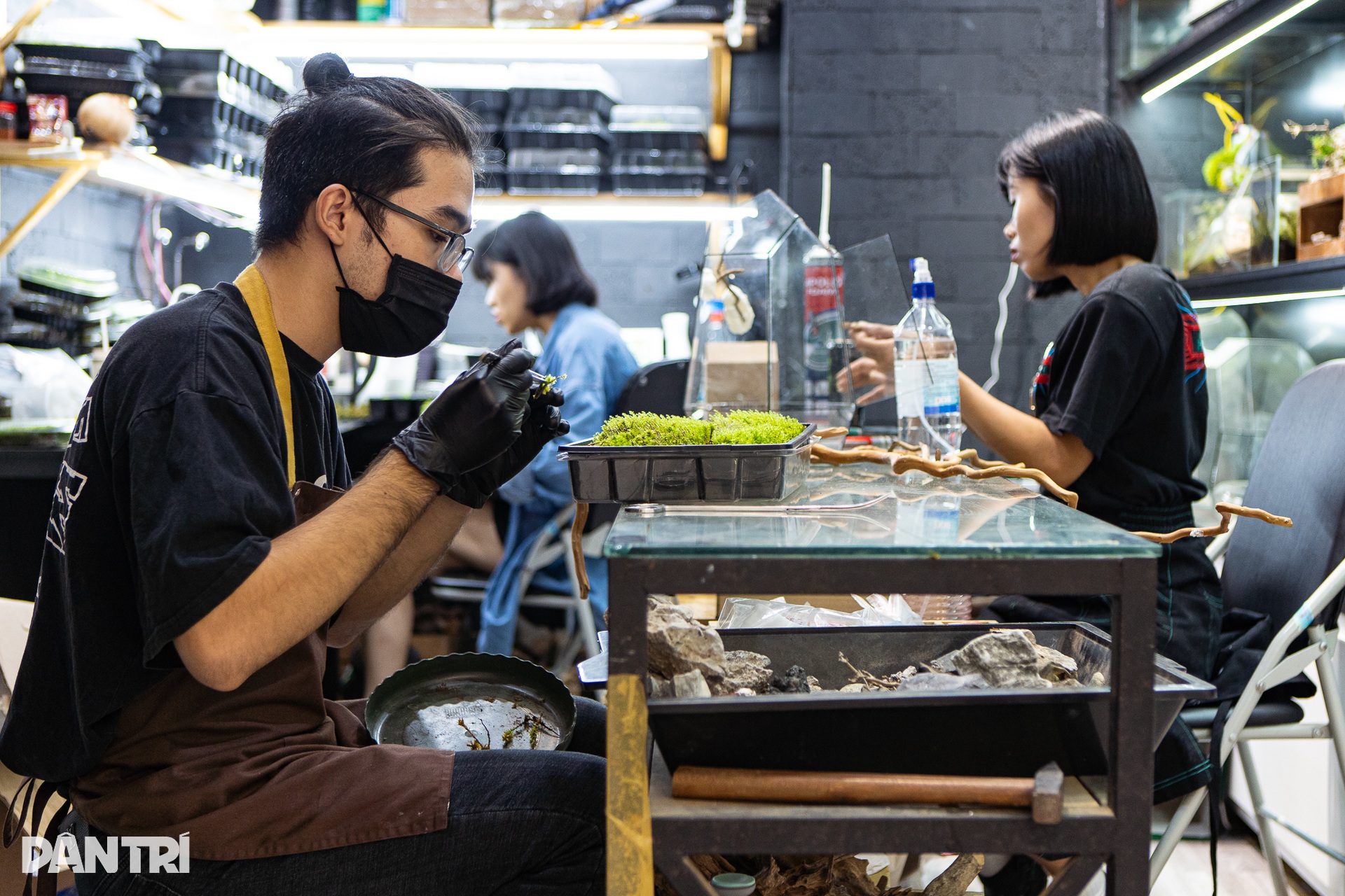 Độc lạ chàng trai Hà Nội vẽ tranh bằng rêu tươi bán tiền triệu - 9 Độc lạ chàng trai Hà Nội vẽ tranh bằng rêu tươi bán tiền triệu - 9