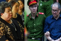 “Đại gia” Hứa Thị Phấn lãnh 20 năm tù