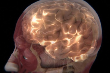 Não phát ra ánh sáng bí mật mà bạn không hề biết