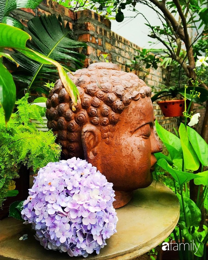 Khu vườn mang tên hạnh phúc của bà mẹ trẻ Hà Nội dành thời gian chăm chút vì muốn sống gần hơn với thiên nhiên - Ảnh 5. Khu vườn mang tên hạnh phúc của bà mẹ trẻ Hà Nội dành thời gian chăm chút vì muốn sống gần hơn với thiên nhiên - Ảnh 5.