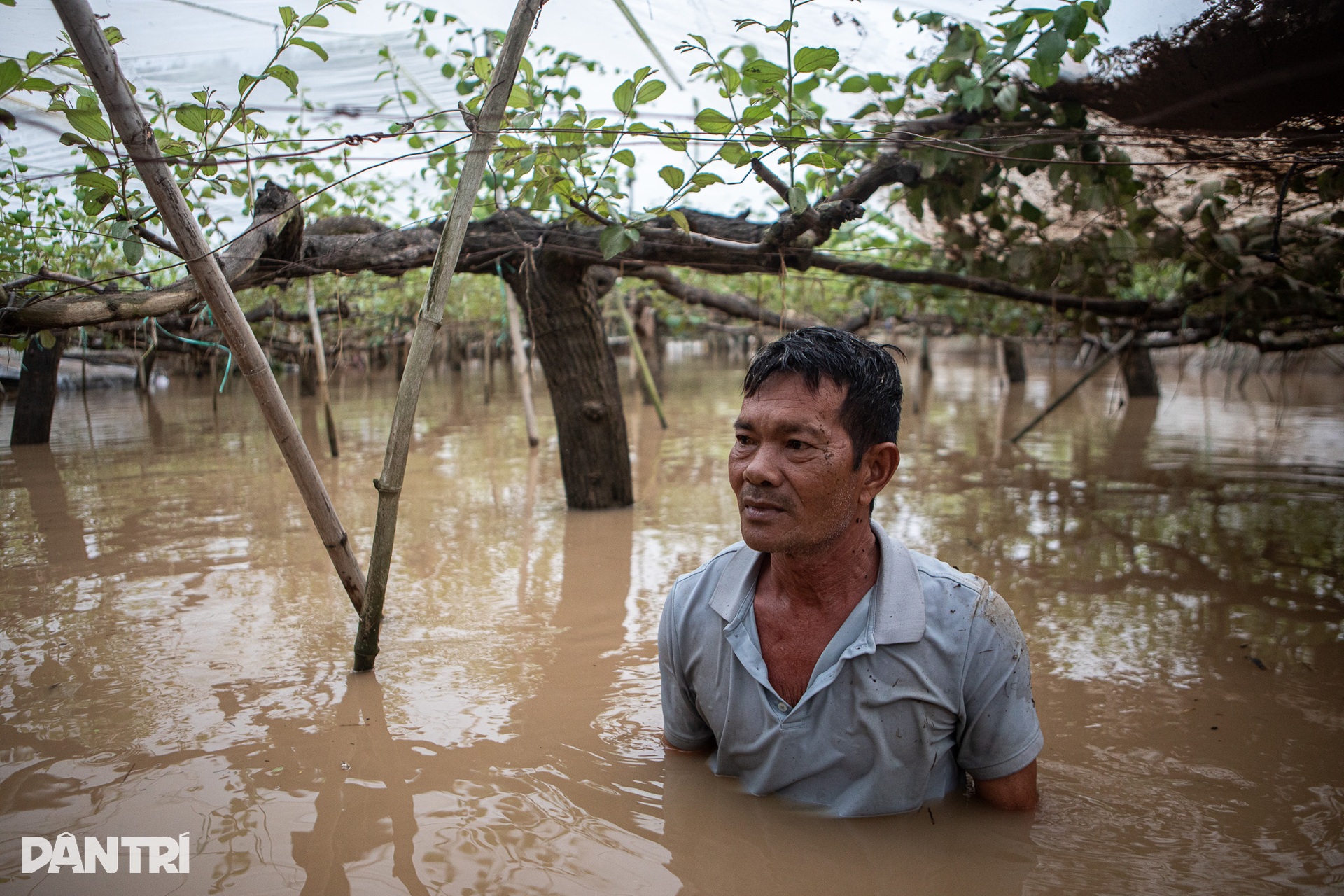 Cuộc sống hai không của người dân Phan Rang trong ngày thứ 5 chống lũ - 11