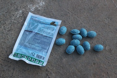 Cảnh báo nguy cơ chết người vì bả chó, bả chuột giống kẹo