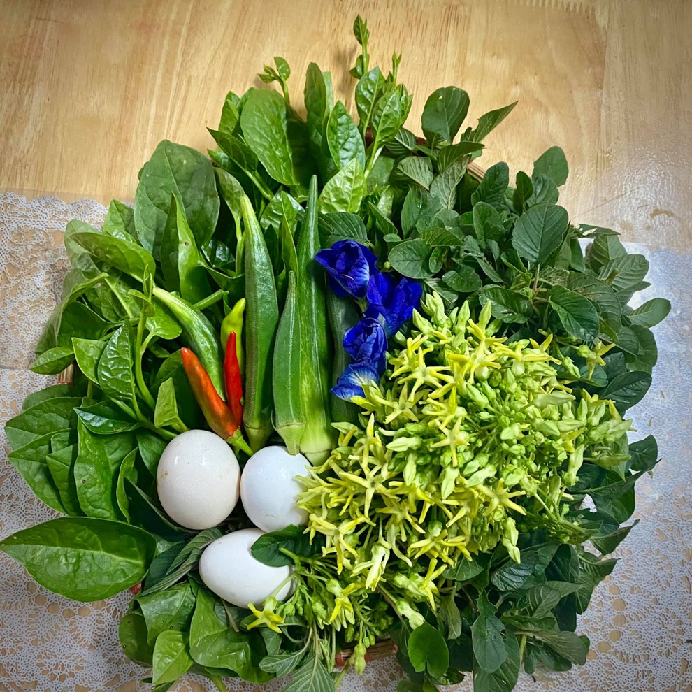 Mẹ đảm biến sân thượng thành vườn rau, quầy bar, bể bơi cho cả nhà thư giãn - 10 Mẹ đảm biến sân thượng thành vườn rau, quầy bar, bể bơi cho cả nhà thư giãn - 10