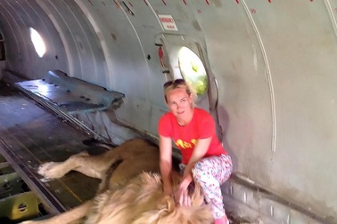 Liều mình chụp hình với sư tử, nữ du khách bị ngoạm lôi đi khắp chuồng