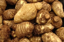 Lợi ích sức khỏe của củ khoai sọ