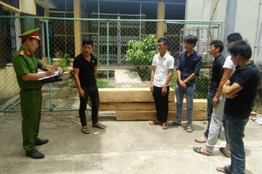 Liều lĩnh lao vào trạm bảo vệ rừng để cướp gỗ bị thu giữ