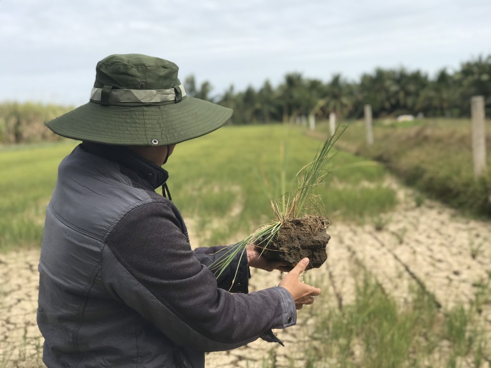 Long An xin Trung ương 170 tỷ đồng để chống xâm ngập mặn - 3 Long An xin Trung ương 170 tỷ đồng để chống xâm ngập mặn - 3