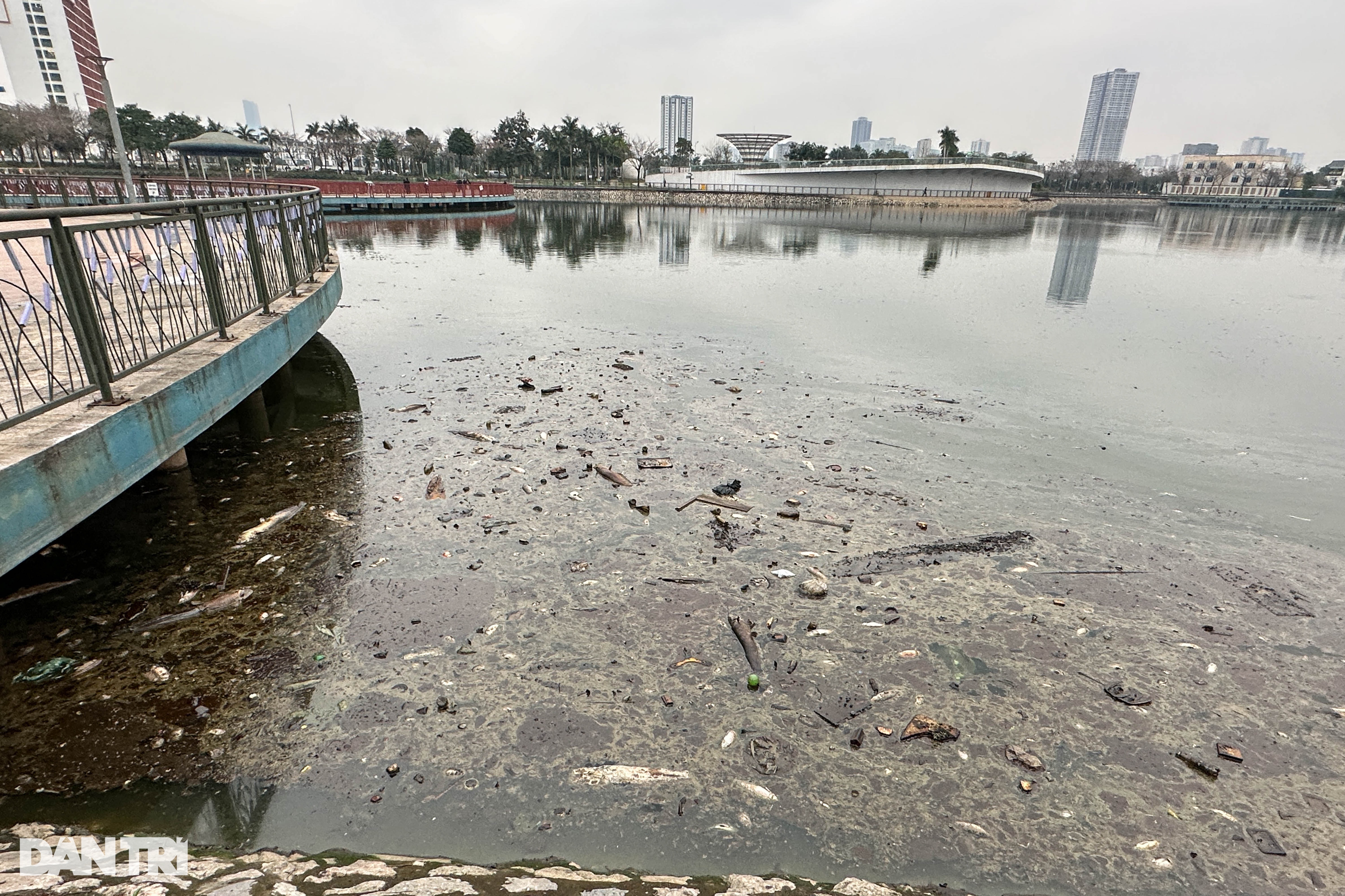 Hồ nước trong công viên độc nhất Đông Nam Á bốc mùi vì cá chết - 5