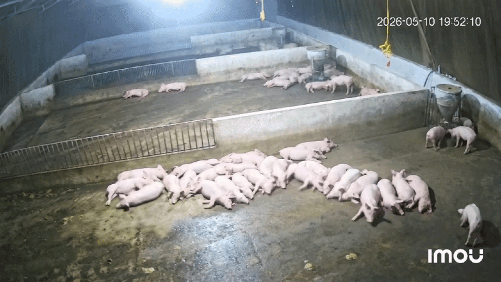 Động đất 4 độ ở Sơn La: Đàn lợn hốt hoảng chạy, người dân tưởng nổ bình gas - 1