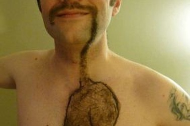 Bộ lông ngực hình con mèo