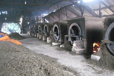 Giật mình với... bã trà tái chế!