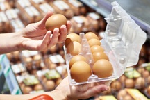 Mỹ chi 1 tỷ USD đối phó khủng hoảng trứng