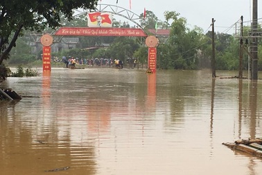 Mưa to, lũ lớn nhấn chìm đảo Soi Tiền giữa sông Hồng