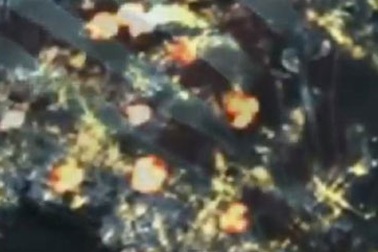 Triều Tiên phát video thành phố Mỹ bị tấn công tên lửa