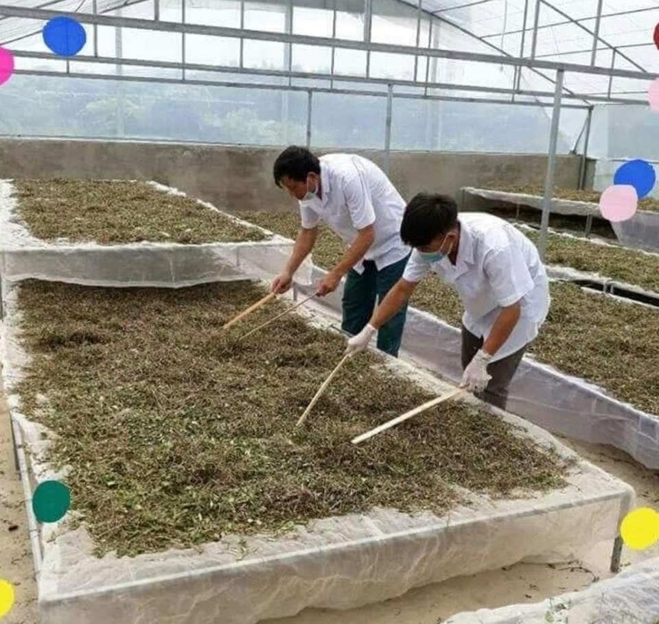 Người đi lên từ… thất bại - 6 Người đi lên từ… thất bại - 6