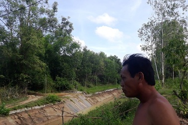 Những trại chăn nuôi lợn “tra tấn” người dân tại Bình Định!