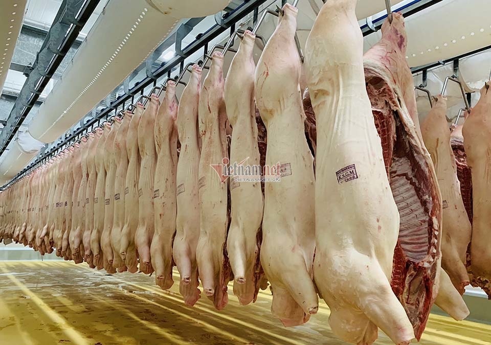 Tăng giá bất chấp cảnh báo, thịt lợn đắt đỏ chưa từng có - 2 Tăng giá bất chấp cảnh báo, thịt lợn đắt đỏ chưa từng có - 2