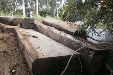 Cách chức hàng loạt cán bộ kiểm lâm Yok Đôn