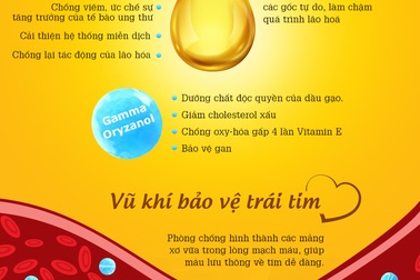Khám phá sức mạnh bí mật trong dầu gạo