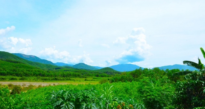 85% diện tích của huyện Ba Tơ là rừng!.