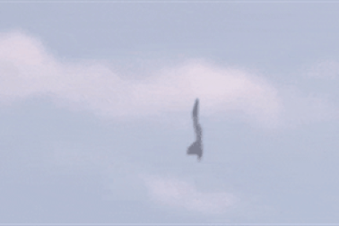 “Sát thủ trên không” Su-35 của Nga nhào lộn mãn nhãn